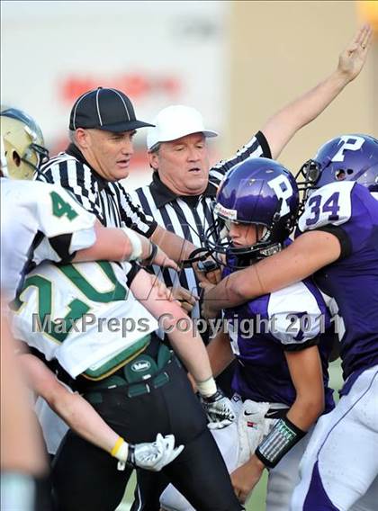 Thumbnail 1 in Birdville @ Paschal photogallery.