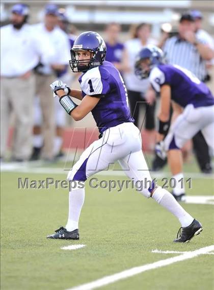 Thumbnail 2 in Birdville @ Paschal photogallery.