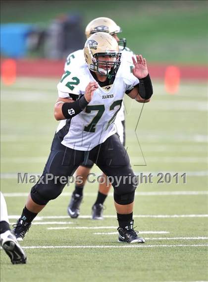 Thumbnail 1 in Birdville @ Paschal photogallery.