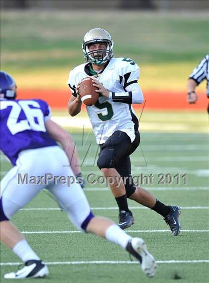 Thumbnail 2 in Birdville @ Paschal photogallery.
