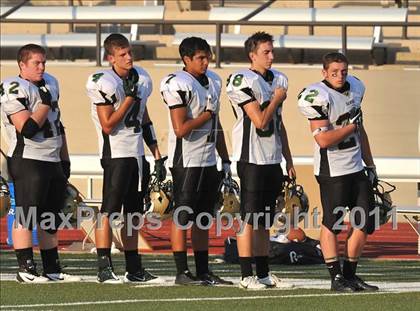 Thumbnail 2 in Birdville @ Paschal photogallery.