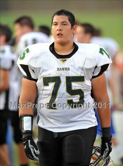 Thumbnail 3 in Birdville @ Paschal photogallery.