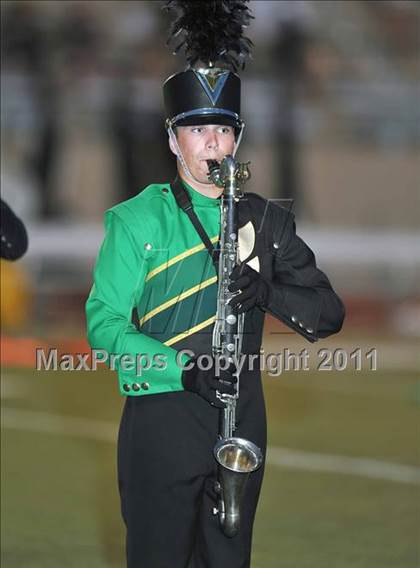 Thumbnail 2 in Birdville @ Paschal photogallery.