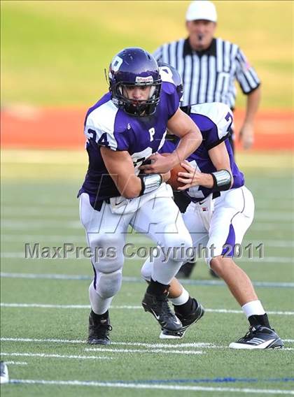 Thumbnail 2 in Birdville @ Paschal photogallery.