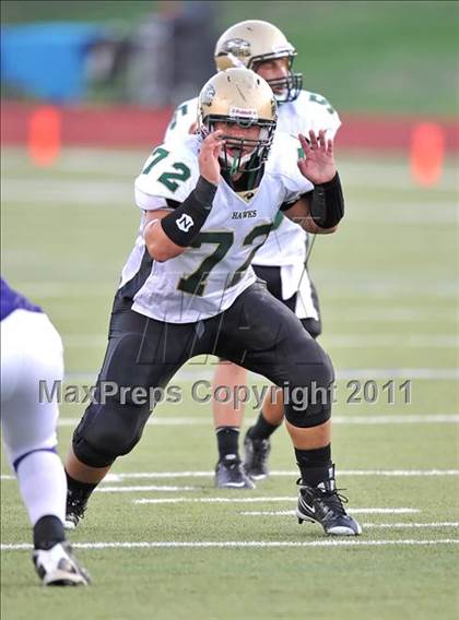 Thumbnail 3 in Birdville @ Paschal photogallery.