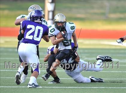 Thumbnail 3 in Birdville @ Paschal photogallery.