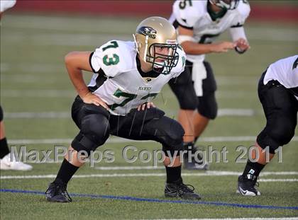 Thumbnail 1 in Birdville @ Paschal photogallery.