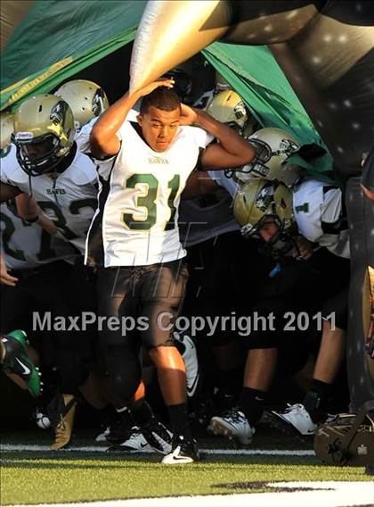 Thumbnail 3 in Birdville @ Paschal photogallery.