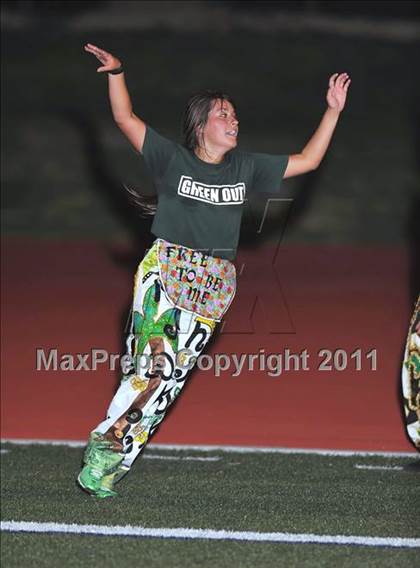 Thumbnail 3 in Birdville @ Paschal photogallery.
