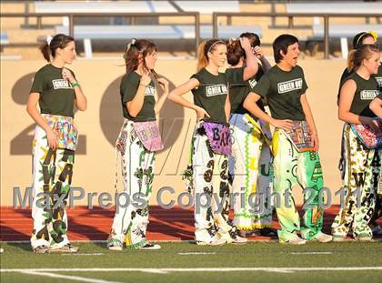 Thumbnail 2 in Birdville @ Paschal photogallery.