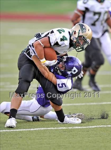 Thumbnail 1 in Birdville @ Paschal photogallery.
