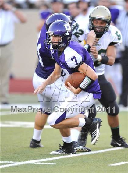 Thumbnail 3 in Birdville @ Paschal photogallery.