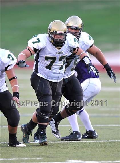 Thumbnail 2 in Birdville @ Paschal photogallery.