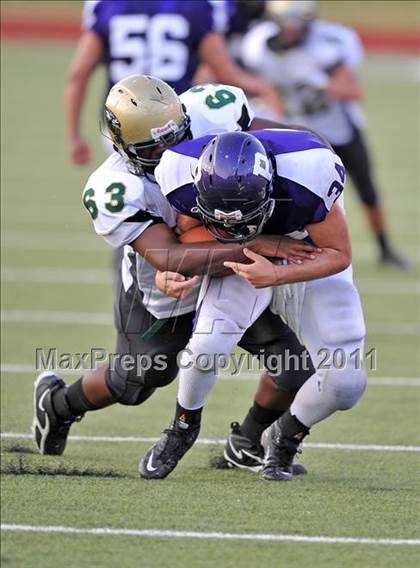 Thumbnail 3 in Birdville @ Paschal photogallery.