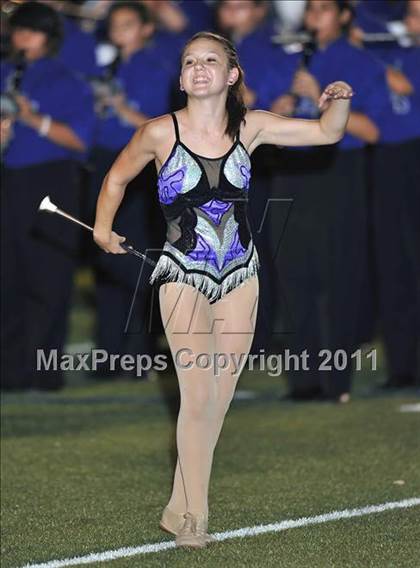 Thumbnail 1 in Birdville @ Paschal photogallery.