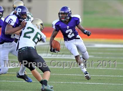 Thumbnail 1 in Birdville @ Paschal photogallery.