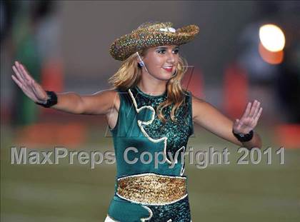 Thumbnail 3 in Birdville @ Paschal photogallery.