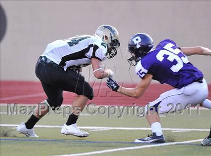 Thumbnail 3 in Birdville @ Paschal photogallery.