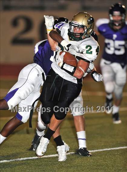 Thumbnail 3 in Birdville @ Paschal photogallery.