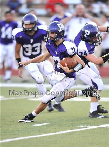 Thumbnail 1 in Birdville @ Paschal photogallery.