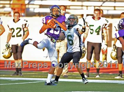 Thumbnail 3 in Birdville @ Paschal photogallery.
