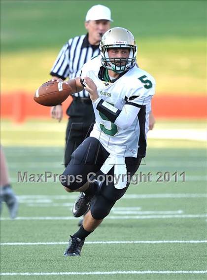 Thumbnail 2 in Birdville @ Paschal photogallery.