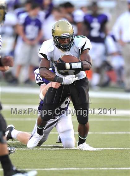 Thumbnail 1 in Birdville @ Paschal photogallery.