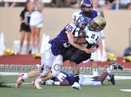 Thumbnail 1 in Birdville @ Paschal photogallery.