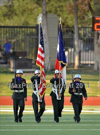 Thumbnail 3 in Birdville @ Paschal photogallery.