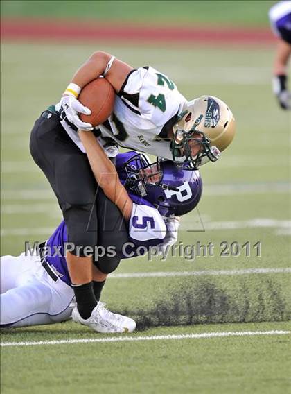 Thumbnail 2 in Birdville @ Paschal photogallery.