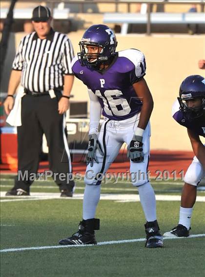 Thumbnail 1 in Birdville @ Paschal photogallery.