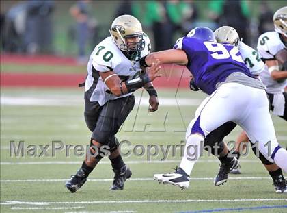 Thumbnail 2 in Birdville @ Paschal photogallery.