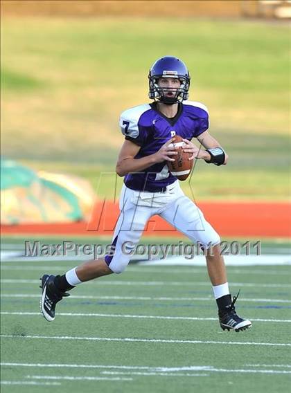 Thumbnail 3 in Birdville @ Paschal photogallery.
