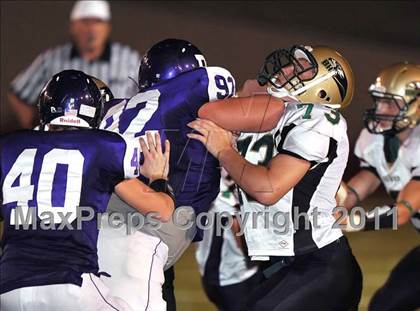 Thumbnail 3 in Birdville @ Paschal photogallery.