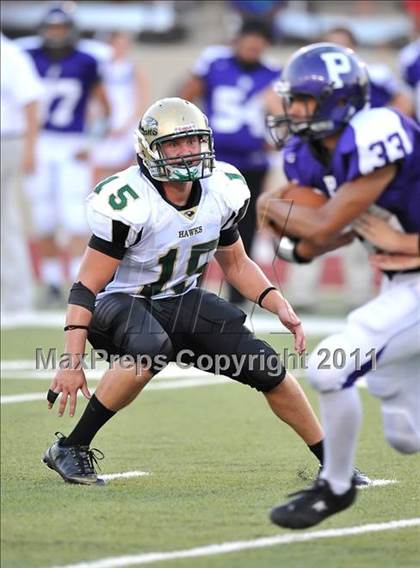 Thumbnail 3 in Birdville @ Paschal photogallery.