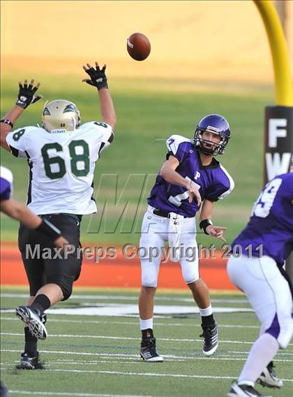 Thumbnail 2 in Birdville @ Paschal photogallery.