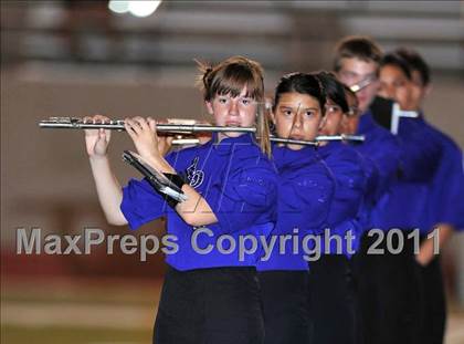 Thumbnail 2 in Birdville @ Paschal photogallery.