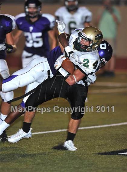 Thumbnail 1 in Birdville @ Paschal photogallery.