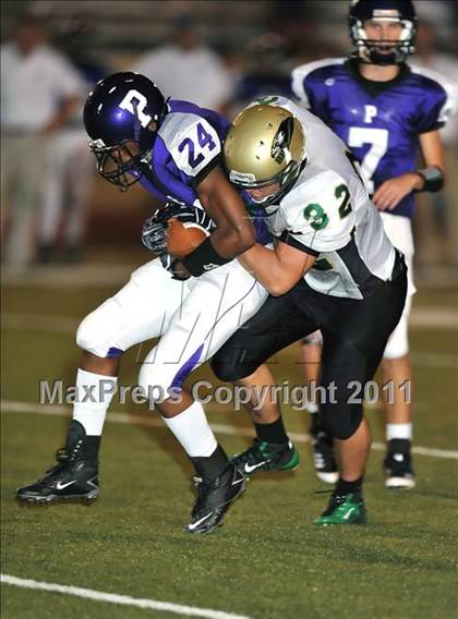Thumbnail 1 in Birdville @ Paschal photogallery.