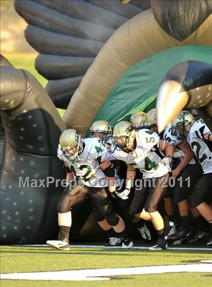 Thumbnail 1 in Birdville @ Paschal photogallery.