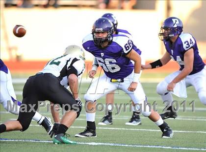 Thumbnail 1 in Birdville @ Paschal photogallery.