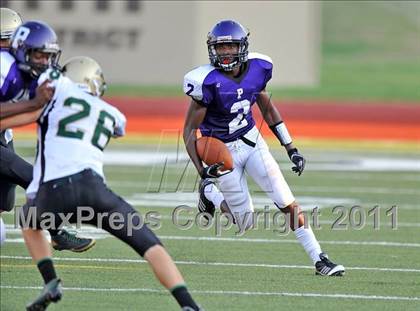 Thumbnail 3 in Birdville @ Paschal photogallery.