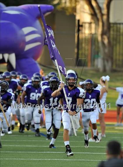 Thumbnail 1 in Birdville @ Paschal photogallery.