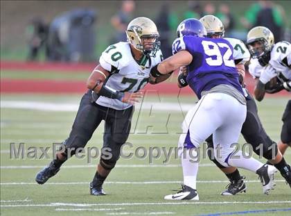 Thumbnail 3 in Birdville @ Paschal photogallery.