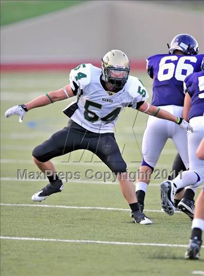 Thumbnail 2 in Birdville @ Paschal photogallery.