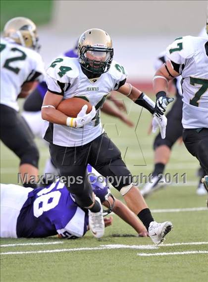Thumbnail 1 in Birdville @ Paschal photogallery.