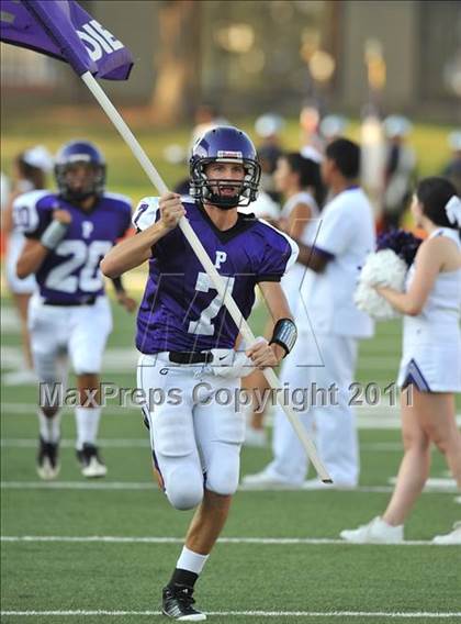Thumbnail 3 in Birdville @ Paschal photogallery.