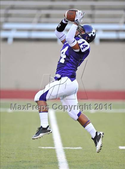 Thumbnail 1 in Birdville @ Paschal photogallery.
