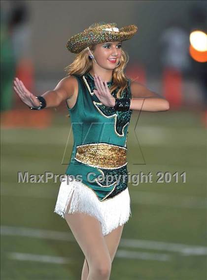 Thumbnail 2 in Birdville @ Paschal photogallery.