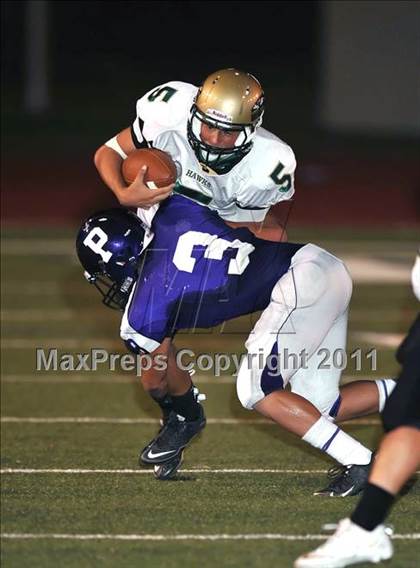 Thumbnail 3 in Birdville @ Paschal photogallery.